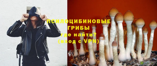 амфетамин Богданович