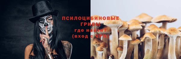 дмт Богородск