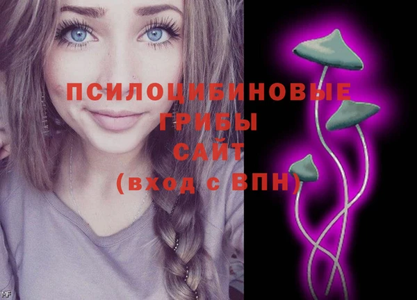 прущий лед Богородицк