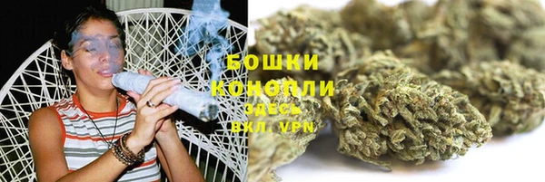 дмт Богородск