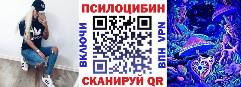 Псилоцибиновые грибы Psilocybe  Оса 